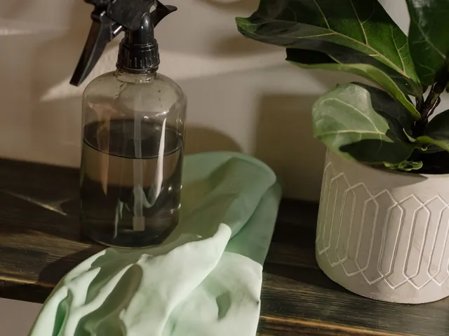 Produtos de limpeza e luvas arrumados